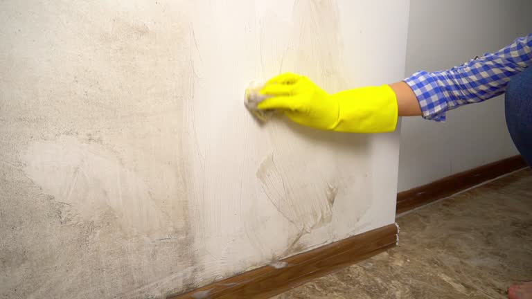 Mold Odor Removal Services in Coalgate, OK