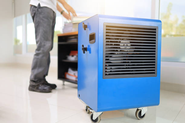 Best Water Damage & Mold Remediation  in Coalgate, OK